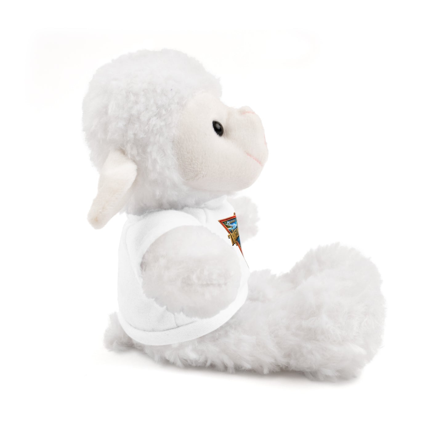 Retro Traveler Graphic Teddy Bear with Tee