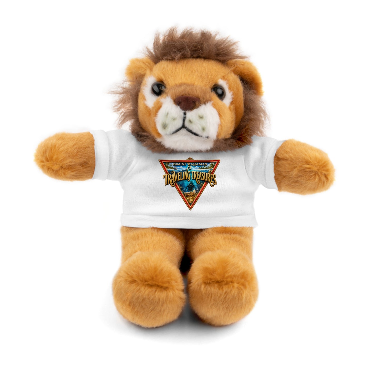 Retro Traveler Graphic Teddy Bear with Tee