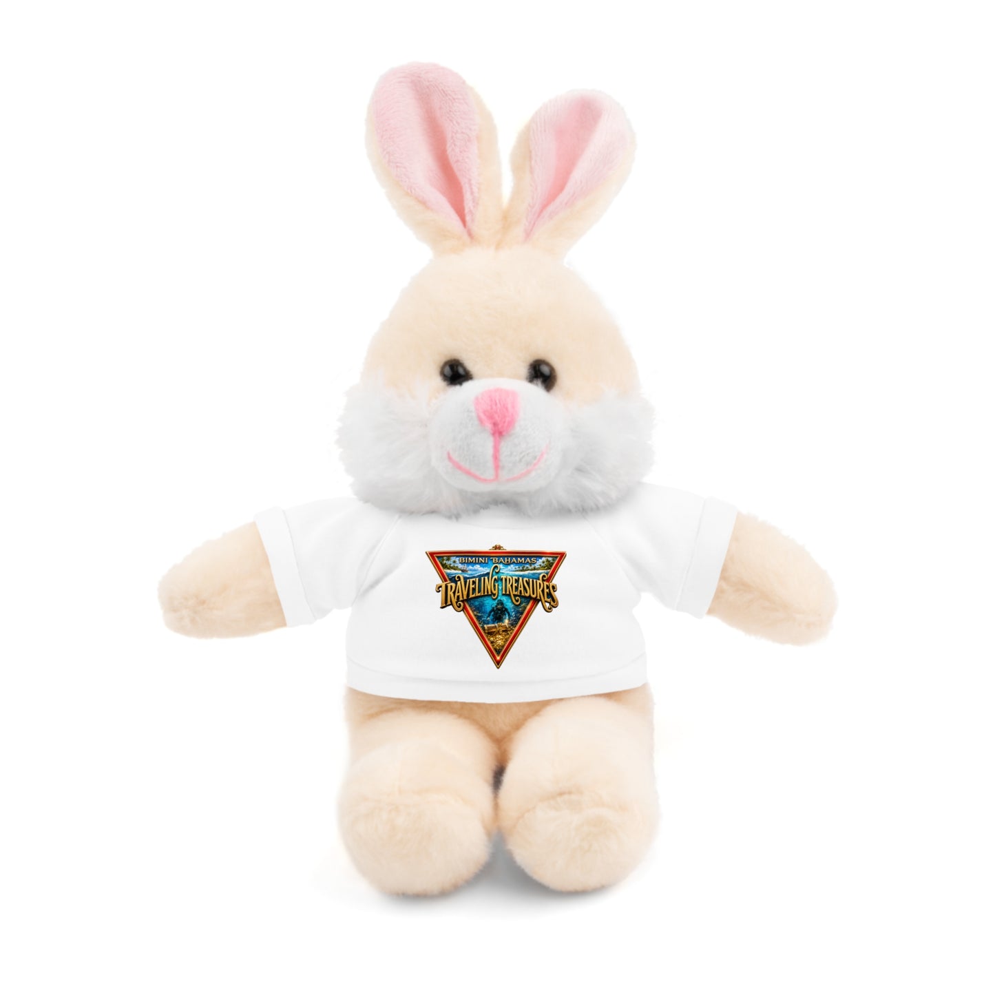 Retro Traveler Graphic Teddy Bear with Tee
